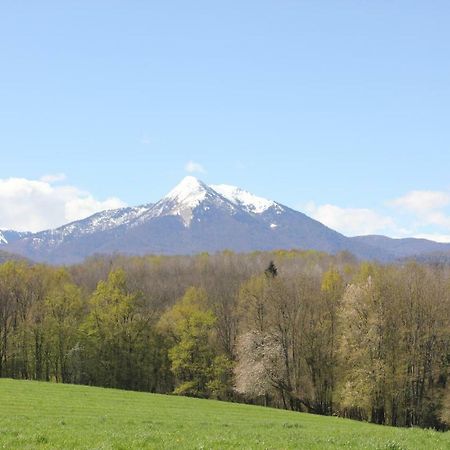 Maison Du Coue Pyrenees Mourtis Gite Pour 2 A 12 Pers Sengouagnet Eksteriør bilde